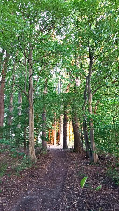 Appartement Herrenhaus Harmshagen Testorf-Steinfort